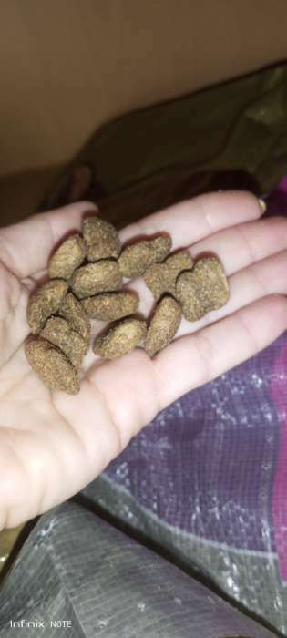 Фотография покупателя товара Сухой корм для собак "Puffins" "Ягненок и рис" 15 кг - Фото 3