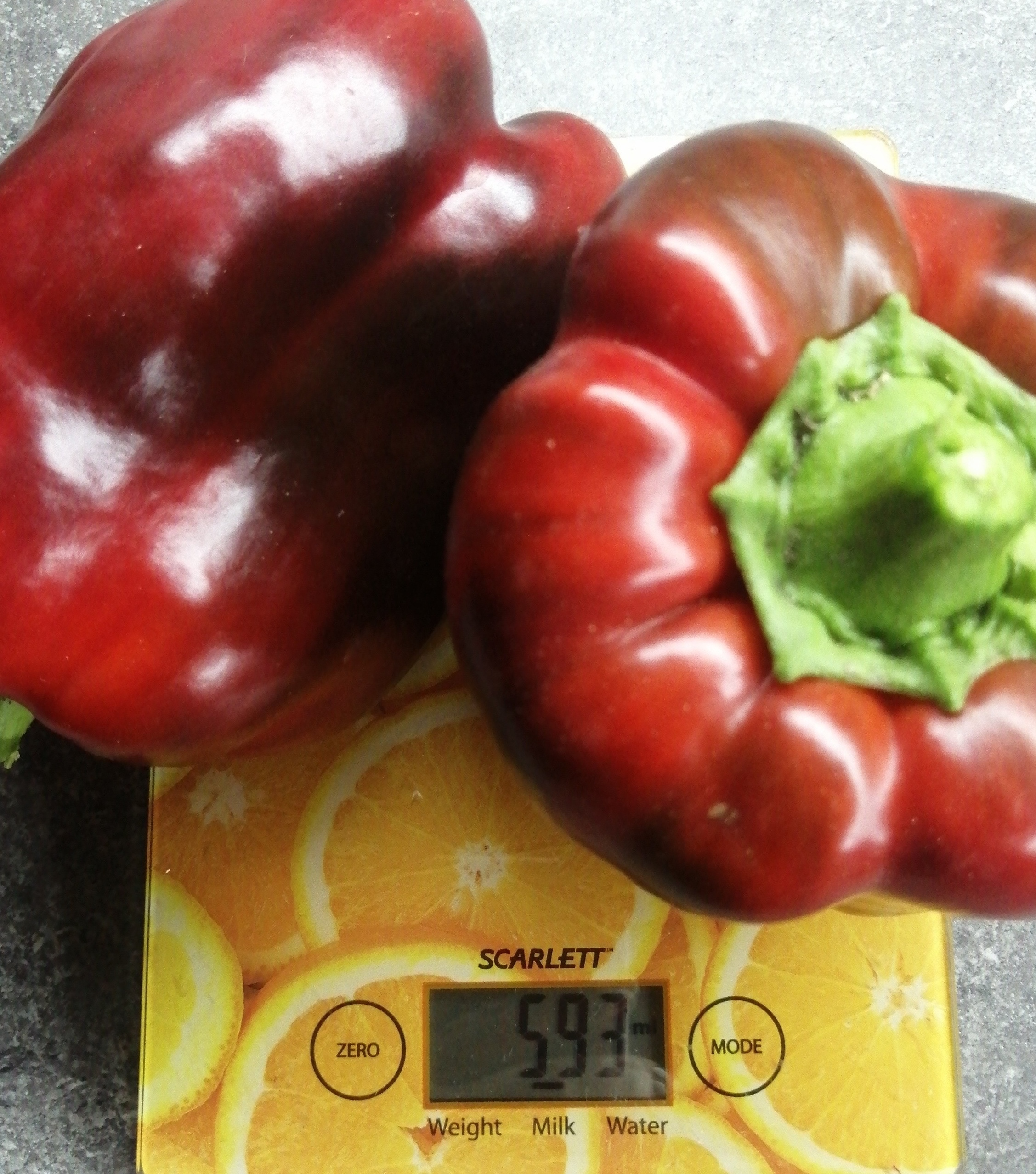 Фотография покупателя товара Семена перец сладкий «Звезда Востока», 0.1 г - Фото 1