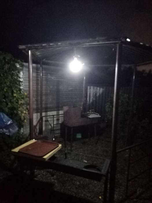 Фотография покупателя товара Фонарь кемпинговый аккумуляторный, 10 Вт, 500 мАч, 6 В, 20 SMD, 3 режима, солнечная батарея - Фото 1