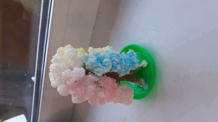 Фотография покупателя товара Набор для выращивания кристалла «Волшебное дерево» цвет разноцветный - Фото 49