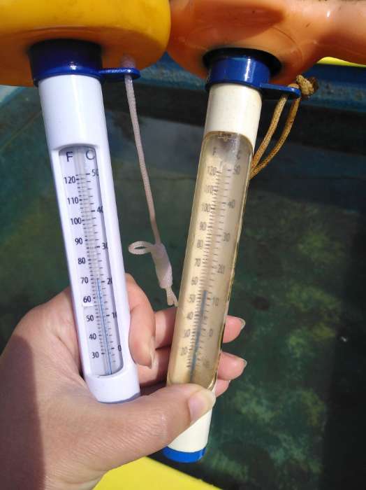 Фотография покупателя товара Термометр плавающий, Luazon, для бассейна "Уточка" - Фото 1