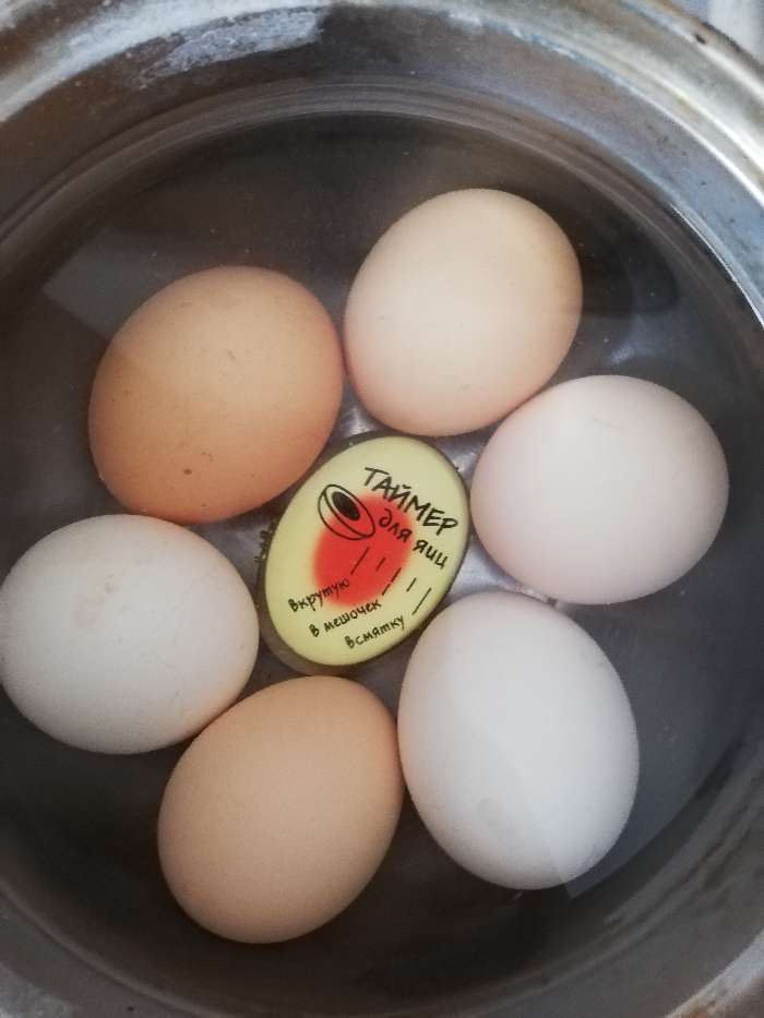 Фотография покупателя товара Таймер для варки яиц, 5×4×3 см - Фото 1