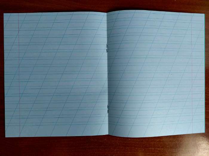 Фотография покупателя товара Тетрадь 12 листов в косую линейку «Зелёная обложка», бумажная обложка, серые листы, плотность 58-63 г/м² - Фото 1