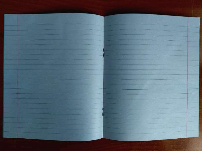 Фотография покупателя товара Тетрадь 12 листов в линейку «Зелёная обложка», бумажная обложка плотностью 58-63 г/м², серые листы - Фото 8