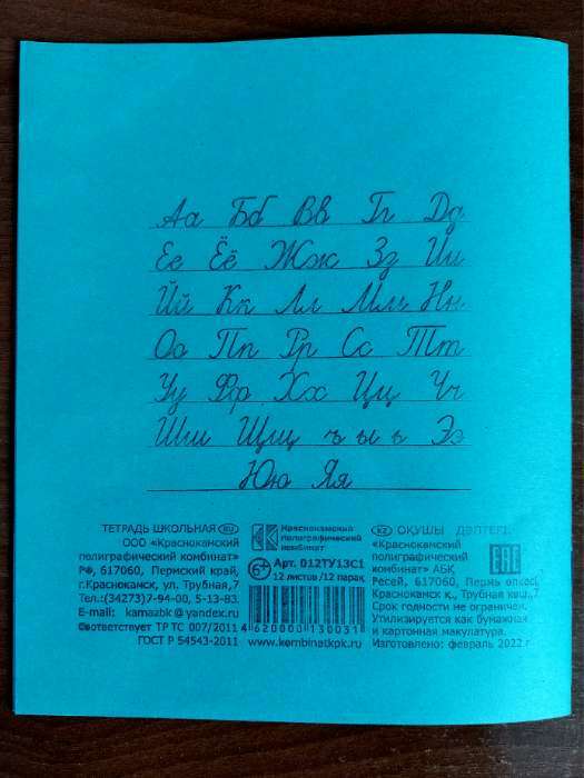 Фотография покупателя товара Тетрадь 12 листов в линейку «Зелёная обложка», бумажная обложка плотностью 58-63 г/м², серые листы - Фото 9