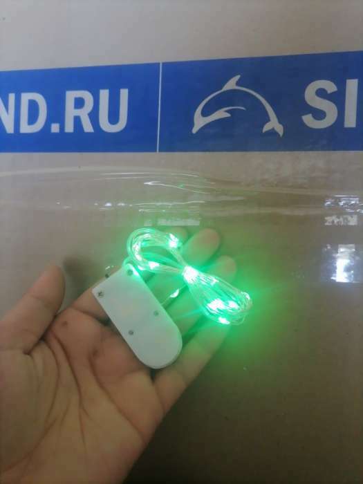 Фотография покупателя товара Гирлянда «Нить» 2 м роса, IP20, серебристая нить, 20 LED, свечение зелёное, CR2032х2 - Фото 1