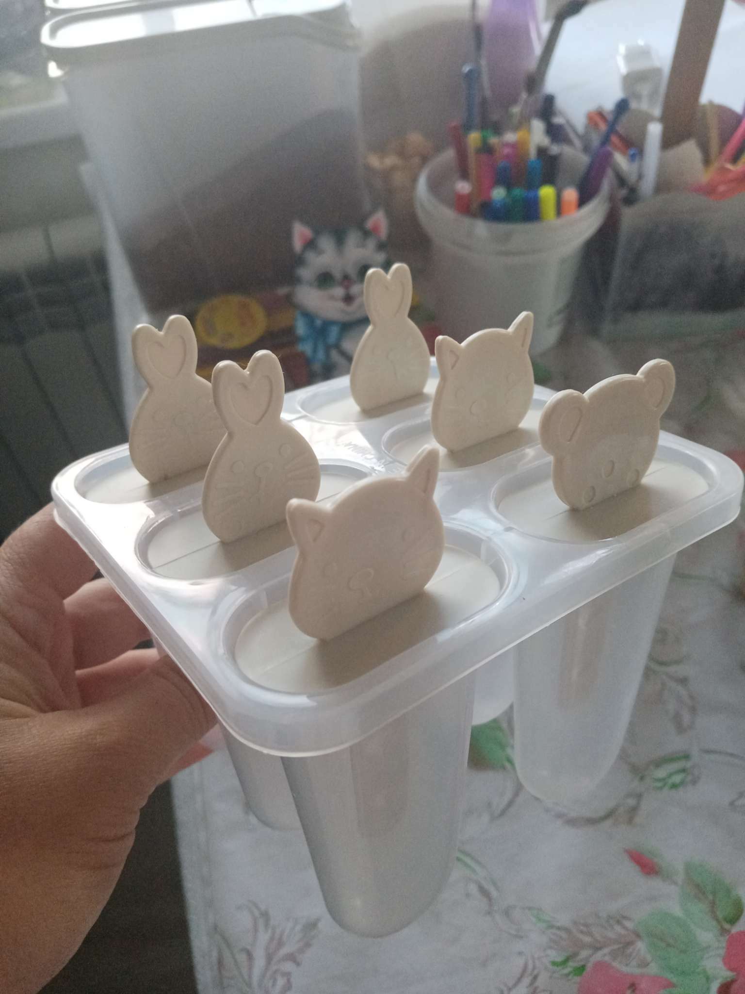 Фотография покупателя товара Форма для мороженого «Мордашки», 11×11×11 см, 6 ячеек, цвет прозрачный - Фото 1