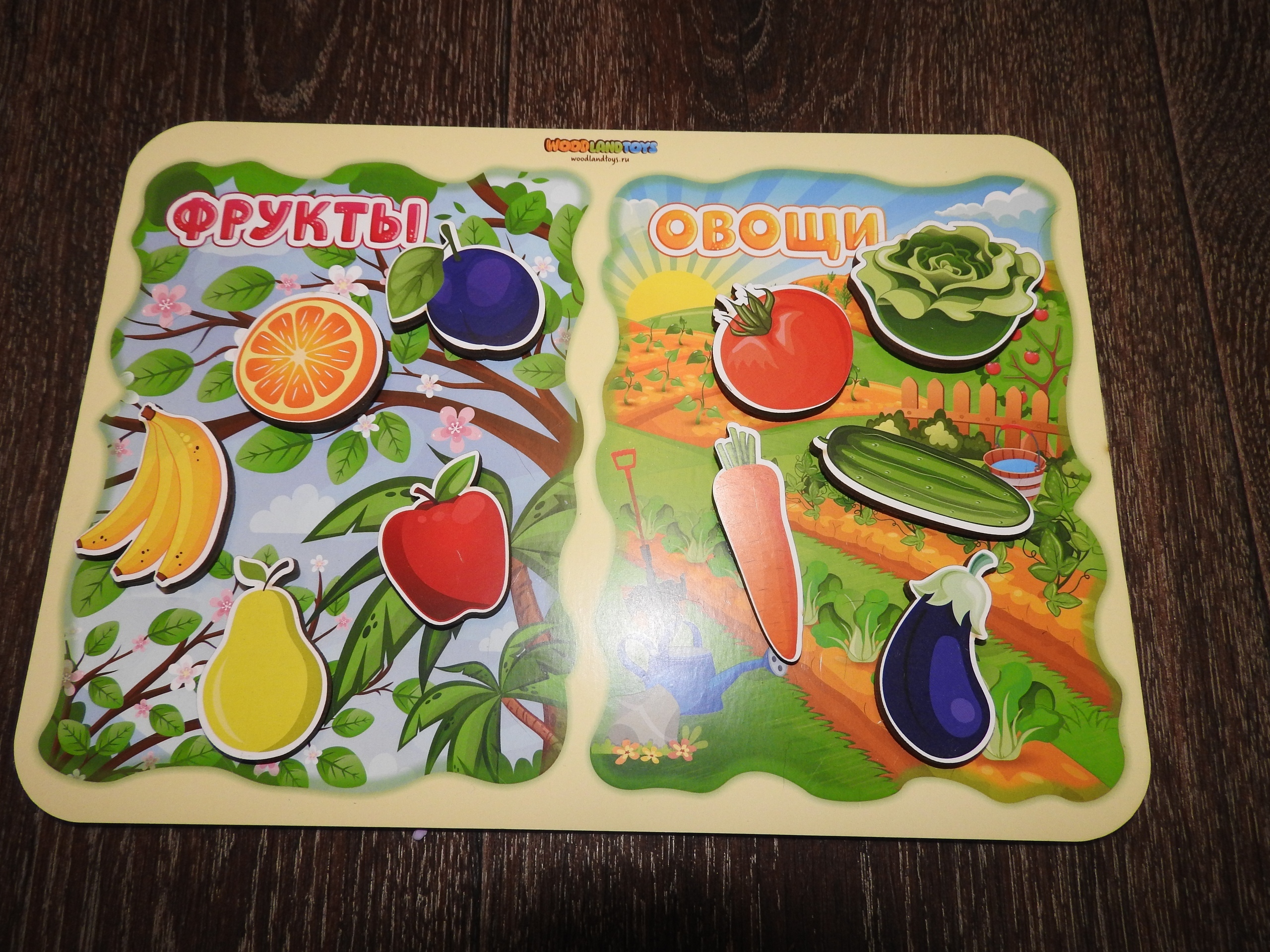 Фотография покупателя товара Сортер «Какая разница? Фрукты-овощи», на липучках