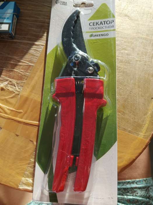 Фотография покупателя товара Секатор плоскостной, 9" (23 см), с пластиковыми ручками