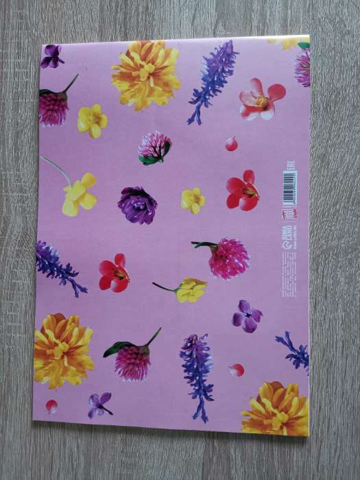 Фотография покупателя товара Альбом для рисования А4 24 листа на скрепке «1 сентября: Цветы» обложка 160 г/м2, бумага 100 г/м2.