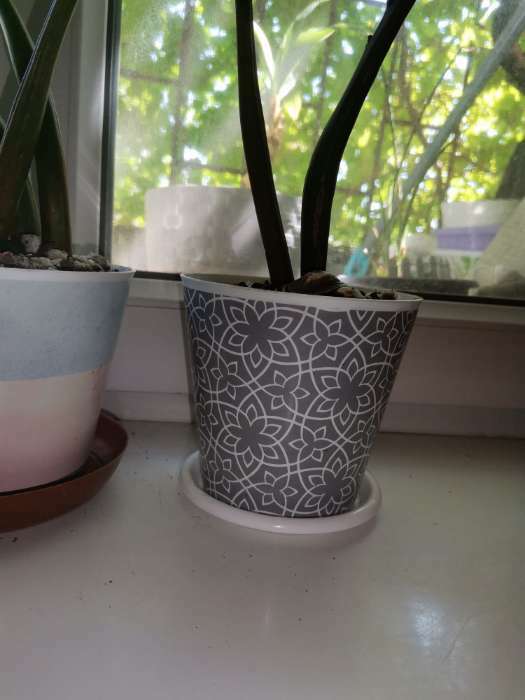 Фотография покупателя товара Горшок для цветов Доляна «Кракле», 800 мл, цвет серый - Фото 1