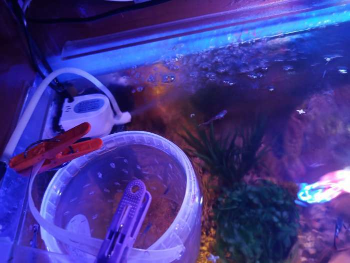 Фотография покупателя товара Помпа аквариумная JINGYE JY-1200, 500 л/ч, 6 Вт, высота подъема воды 0,5 м