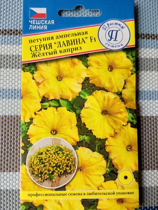 Фотография покупателя товара Семена цветов Петуния "Лавина", желтый каприз F1, 10 др - Фото 1