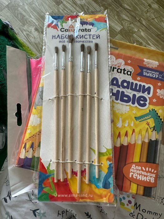 Фотография покупателя товара Набор кистей для рисования, пони, 6 штук: № 2, 4, 6, 8, 10, 12, круглые, деревянная ручка, международный размер - Фото 1