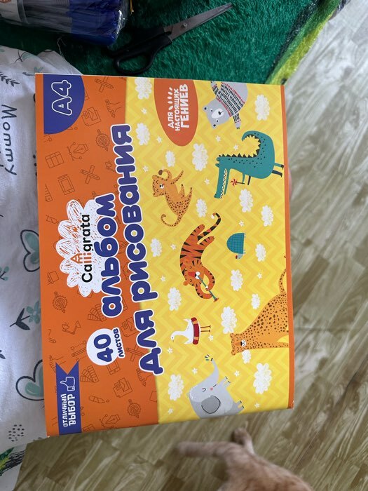 Фотография покупателя товара Альбом для рисования Calligrata А4, 40 листов, на скрепке, плотность листов 100 г/м², обложка из мелованного картона, МИКС - Фото 8