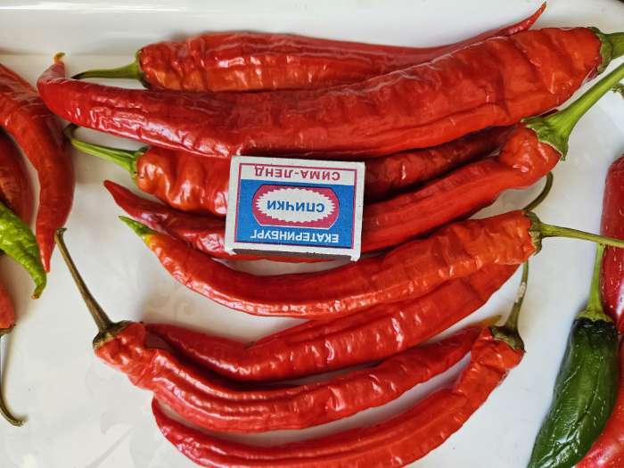 Фотография покупателя товара Семена Перец острый "Двойное изобилие", F1, 15 шт - Фото 13