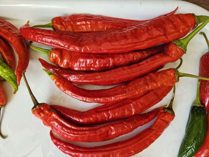 Фотография покупателя товара Семена Перец острый "Двойное изобилие", F1, 15 шт - Фото 11