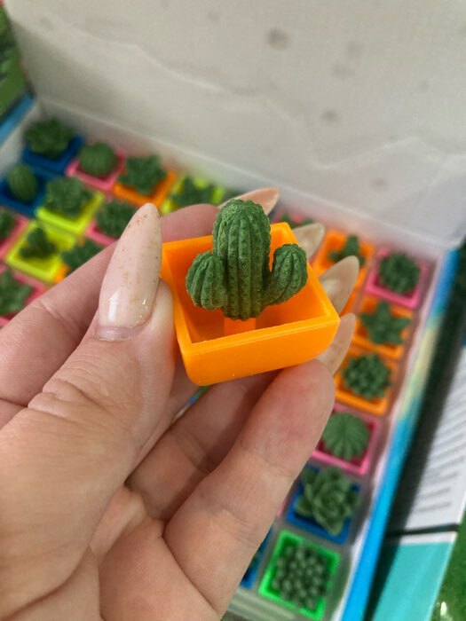 Фотография покупателя товара Растущие фигурки «Кактус в горшке», МИКС - Фото 1