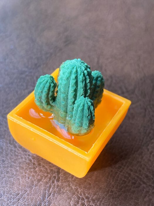 Фотография покупателя товара Растущие фигурки «Кактус в горшке», МИКС - Фото 2