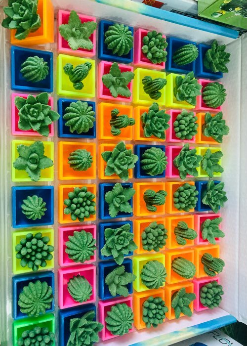 Фотография покупателя товара Растущие фигурки «Кактус в горшке», МИКС - Фото 3