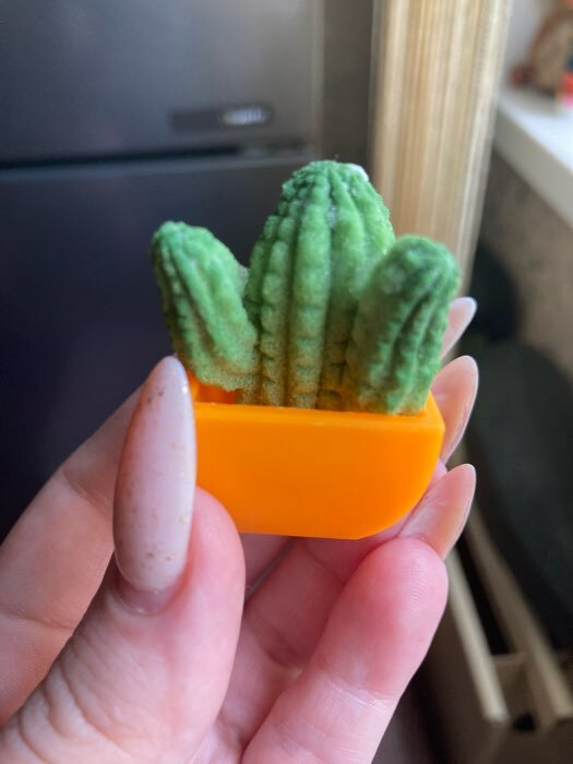 Фотография покупателя товара Растущие фигурки «Кактус в горшке», МИКС - Фото 4