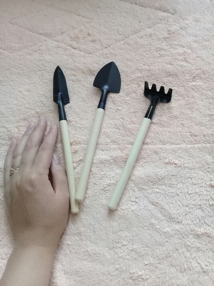Фотография покупателя товара Набор садового инструмента, 3 предмета: грабли, 2 лопатки, длина 24 см, деревянные ручки - Фото 5