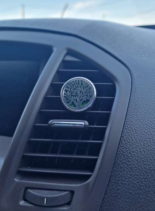 Фотография покупателя товара Ароматизатор в дефлектор TORSO, денежное дерево, лимон - Фото 4