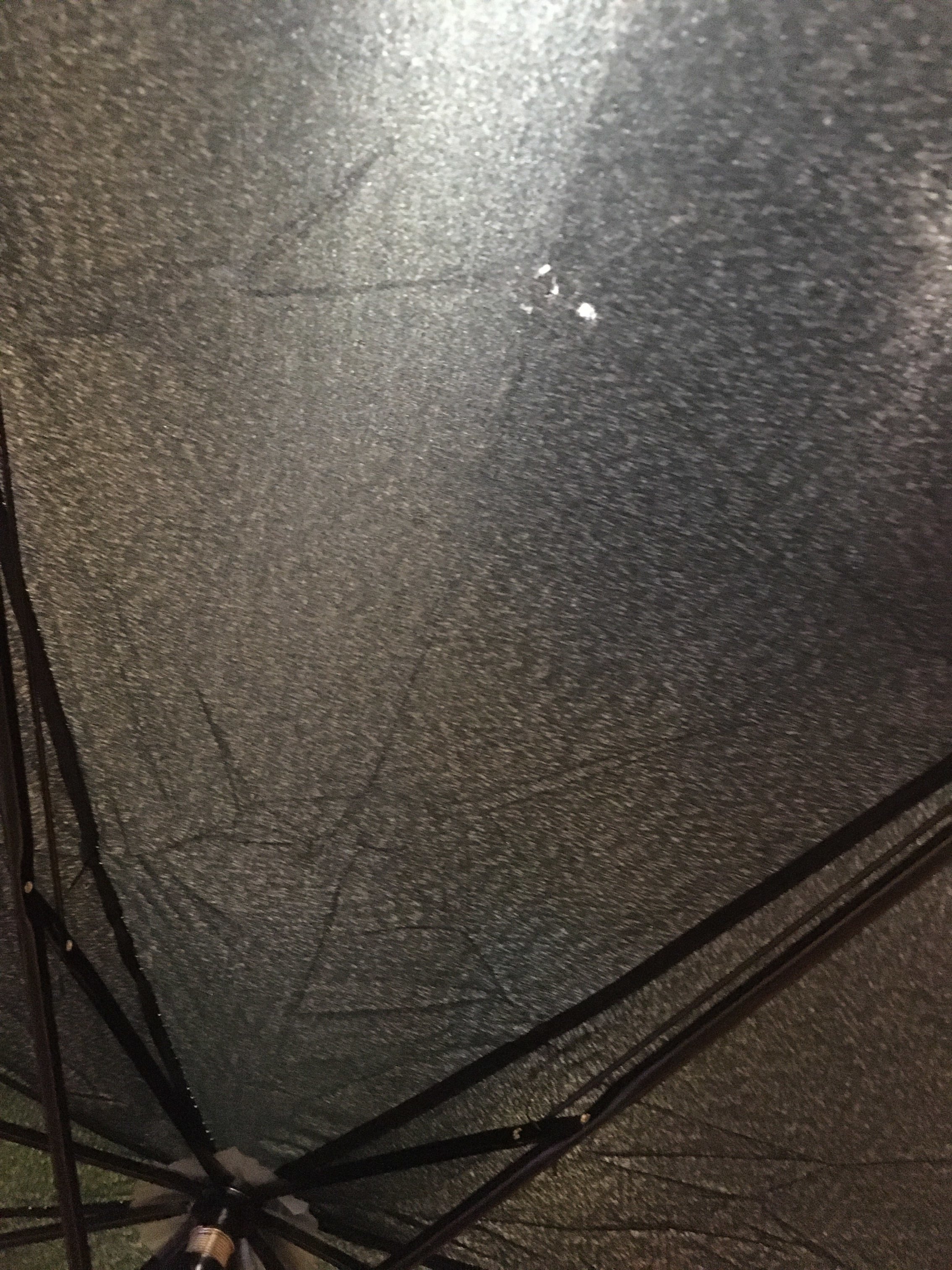 Фотография покупателя товара Зонт полуавтоматический «Однотонный», 3 сложения, 8 спиц, R = 62 см, цвет чёрный - Фото 2