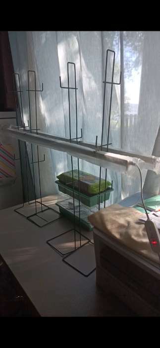 Фотография покупателя товара Фитосветильник для растений Uniel, светодиодный, 35 Вт, 1150 мм, IP40, 220 В, с выключателем, полноспектральный - Фото 6