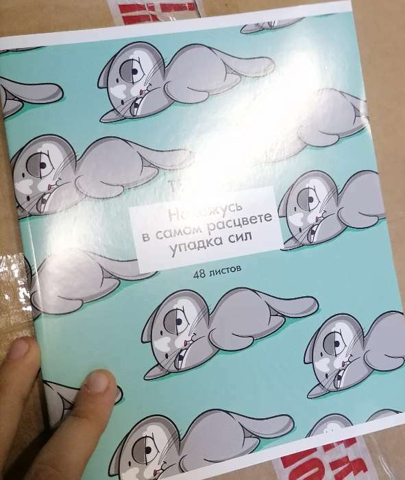 Фотография покупателя товара Тетрадь в клетку, 48 л., А5, на скрепке, блок №1 «Панды» МИКС - Фото 18