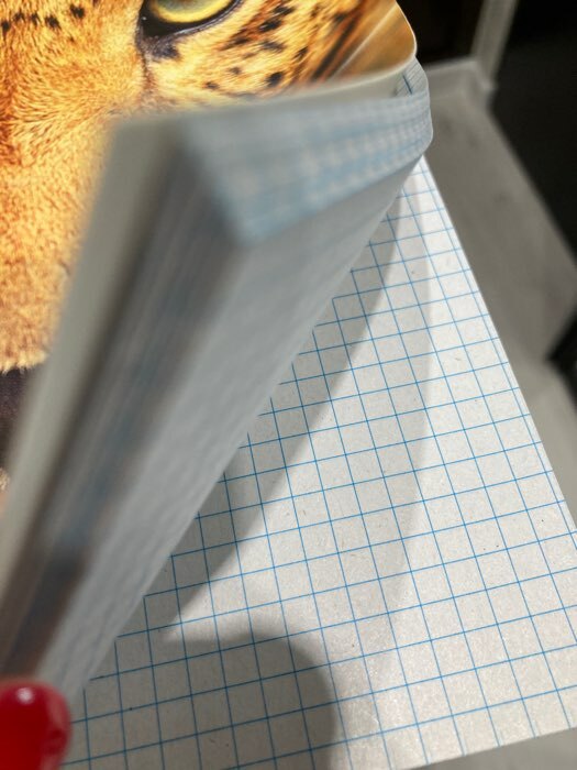 Фотография покупателя товара Тетрадь А4, 96 листов в клетку "Ягуар", обложка мелованный картон, блок №2, белизна 75% (серые листы) - Фото 1