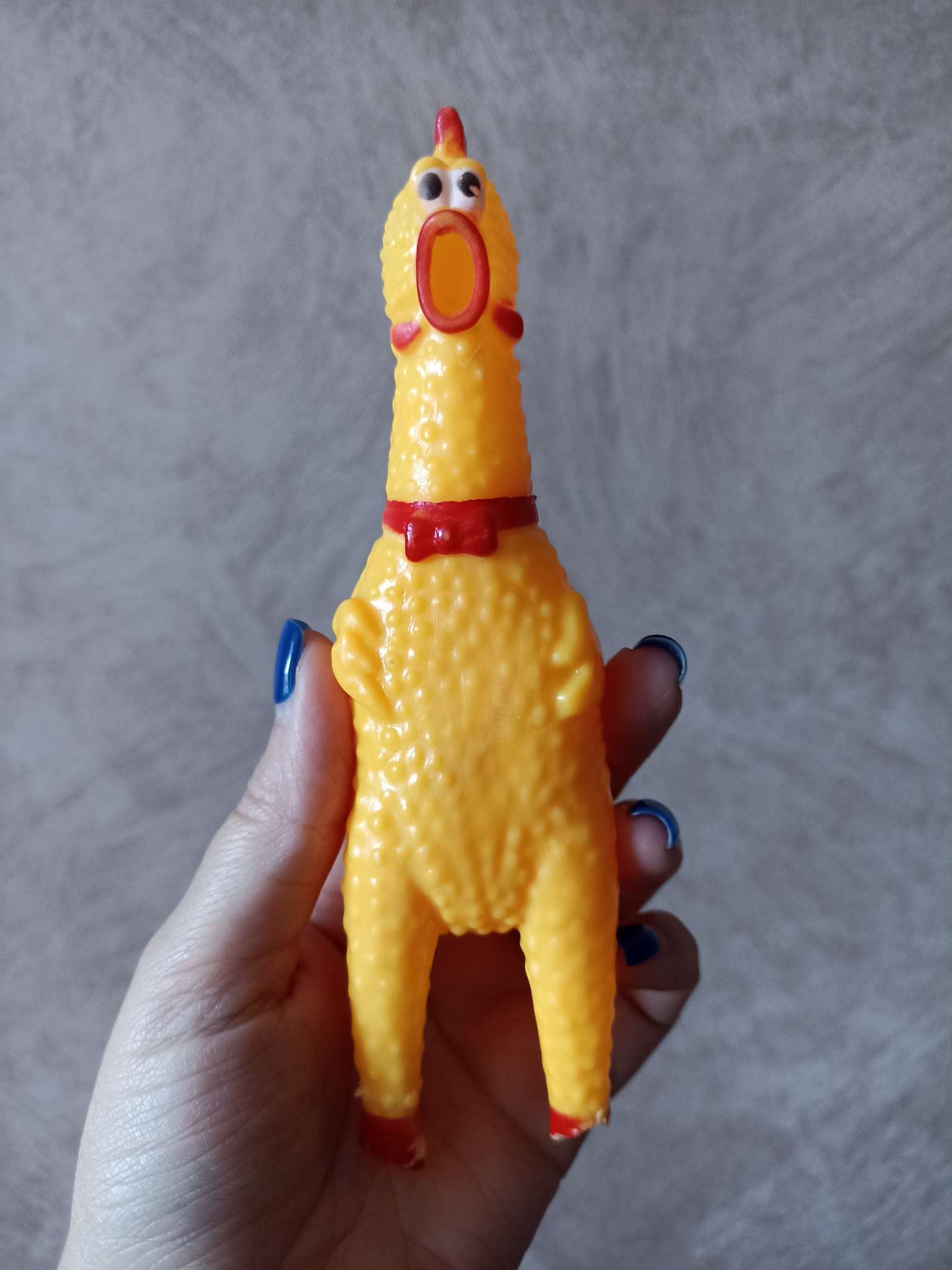 Фотография покупателя товара Игрушка пищащая "Задумчивая курица" малая для собак, 16,5 см, ярко-зелёная - Фото 20