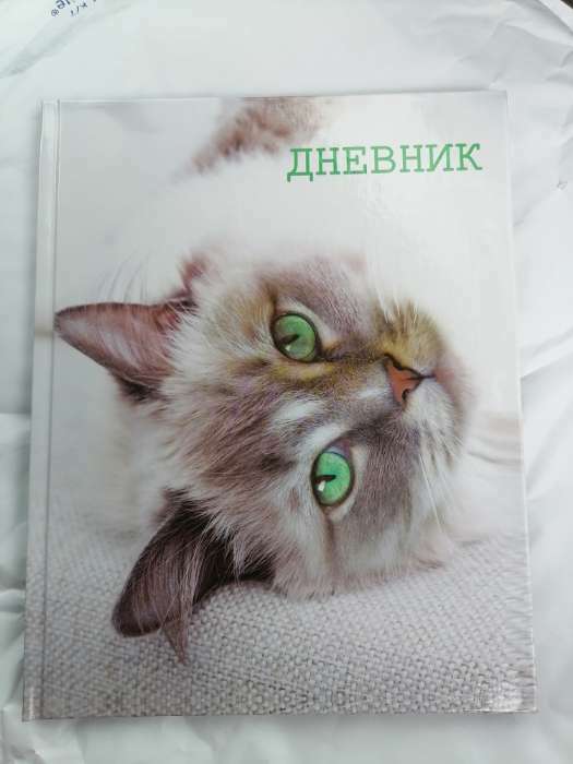 Фотография покупателя товара Дневник для 5-11 классов, "Кошка", твердая обложка 7БЦ, глянцевая ламинация, 48 листов - Фото 10