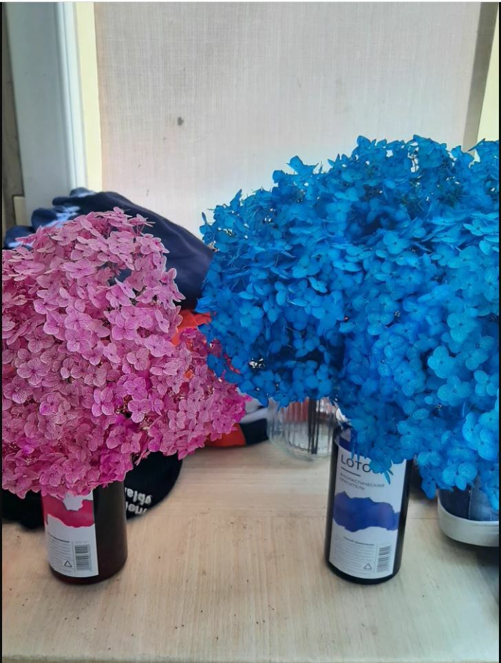Фотография покупателя товара Краситель флористический, для цветов, голубой, 300 мл - Фото 1