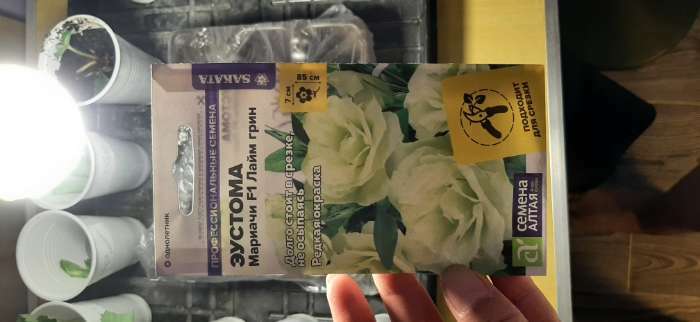 Фотография покупателя товара Семена цветов Эустома Мариачи "Лайм Грин", Сем. Алт, ц/п, 5 шт - Фото 4