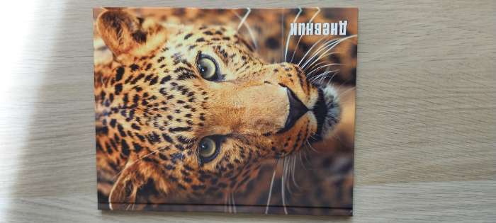 Фотография покупателя товара Дневник для 5-11 классов, "Леопард", твердая обложка 7БЦ, глянцевая ламинация, 48 листов - Фото 2