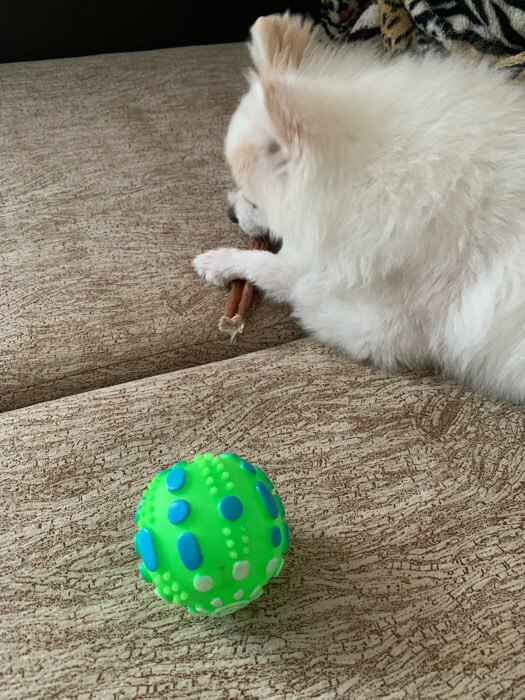 Фотография покупателя товара Игрушка пищащая "Чудо-мяч", 6,5 см, зелёная - Фото 1