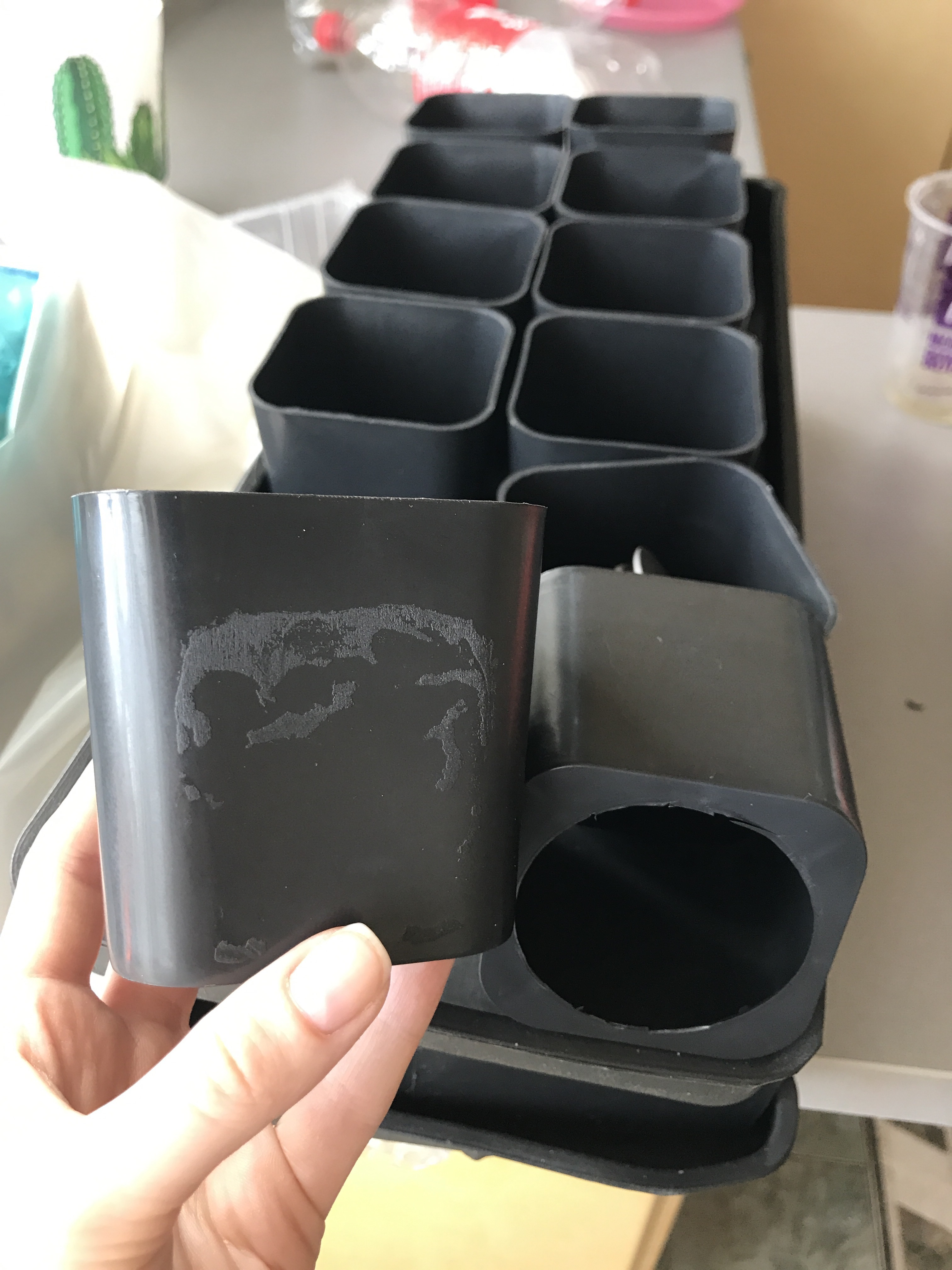 Фотография покупателя товара Набор для рассады: стаканы по 700 мл (10 шт.), поддон 44 × 18 см, чёрный, Greengo - Фото 53