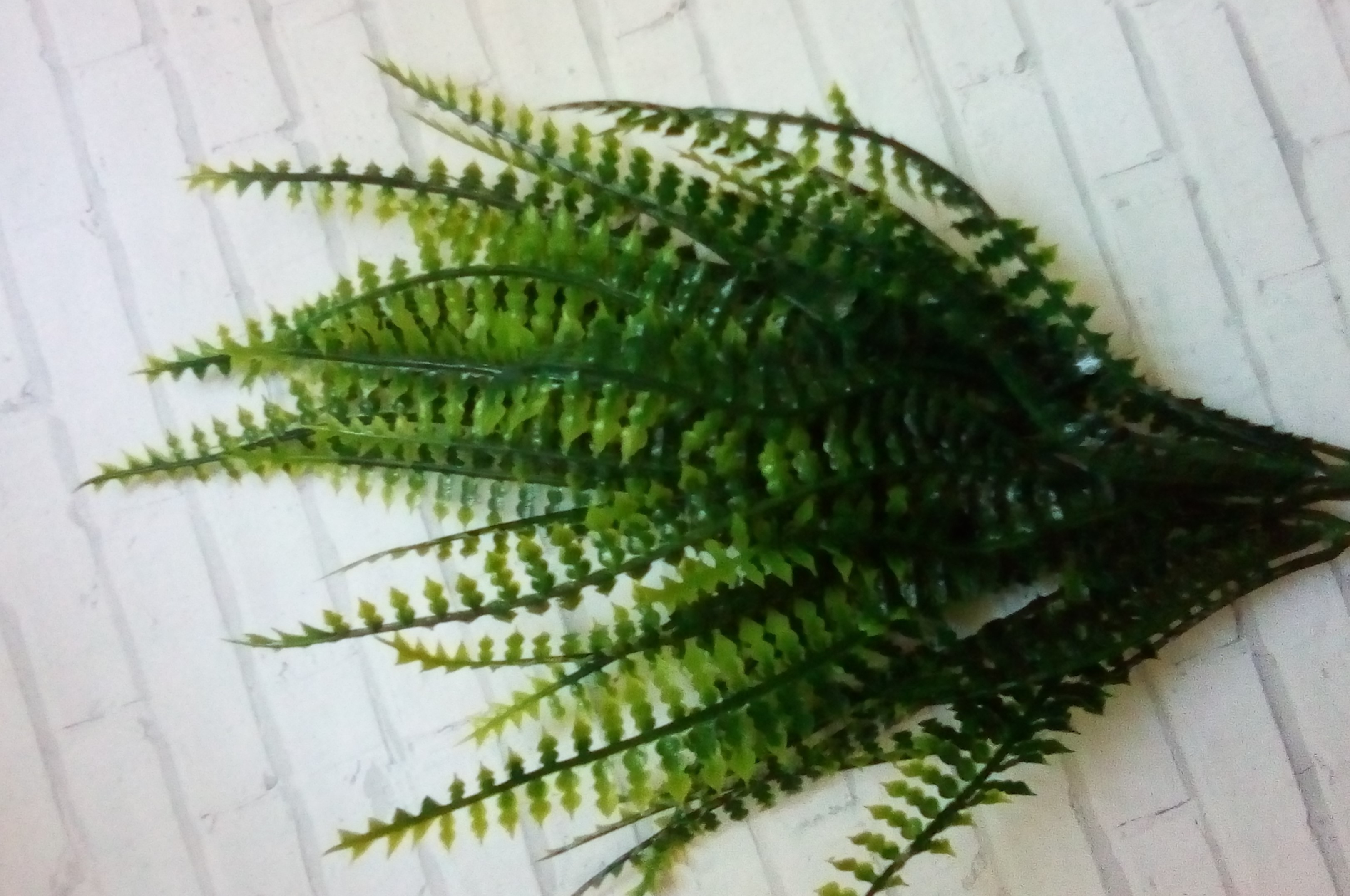 Фотография покупателя товара Букет искусственный «Лесной папоротник», h=28 см - Фото 8