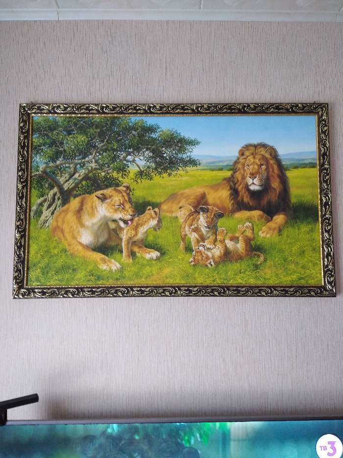 Фотография покупателя товара Картина "Львиная семья" 67х107 см