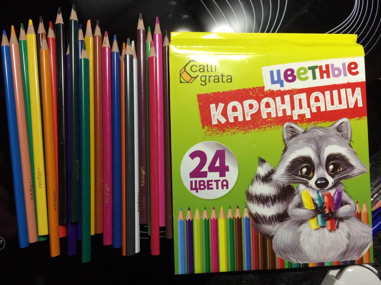 Фотография покупателя товара Карандаши 24 цвета, шестигранные, в картонной коробке - Фото 2