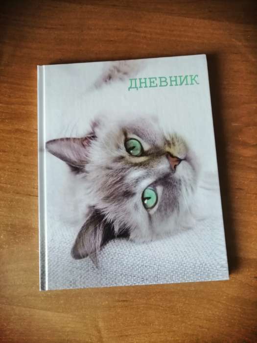 Фотография покупателя товара Дневник для 5-11 классов, "Кошка", твердая обложка 7БЦ, глянцевая ламинация, 48 листов - Фото 3