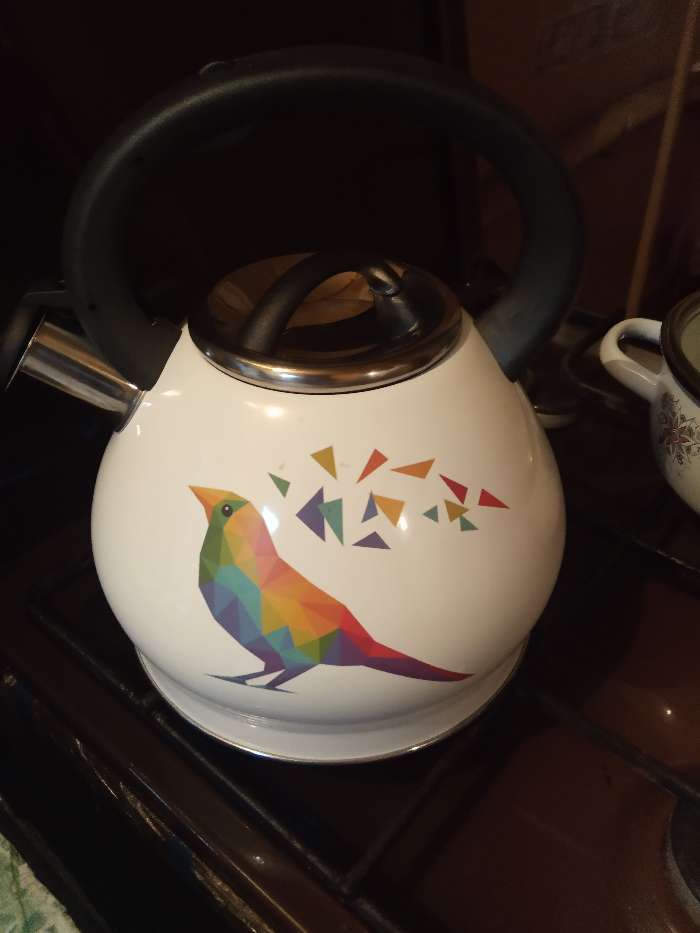 Фотография покупателя товара Чайник со свистком из нержавеющей стали Доляна Magic birds, 3 л, с индикатором нагрева, индукция - Фото 2