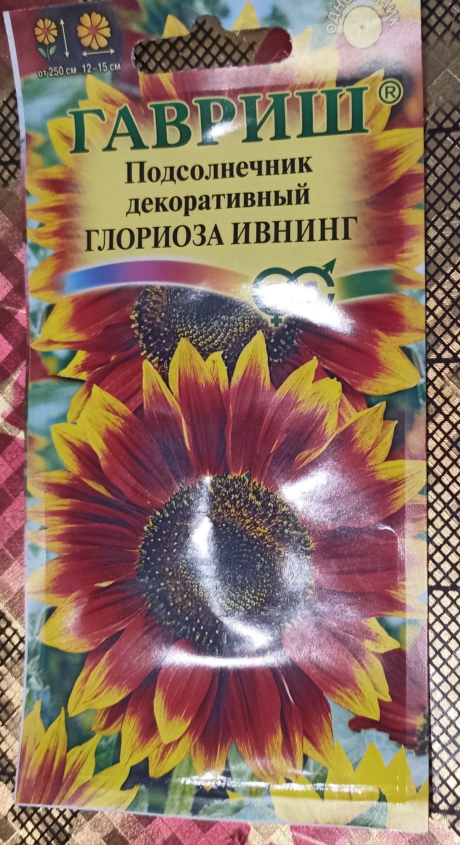 Фотография покупателя товара Семена цветов Подсолнечник декоративный "Глориоза Ивнинг", ц/п, 0,5 г - Фото 1
