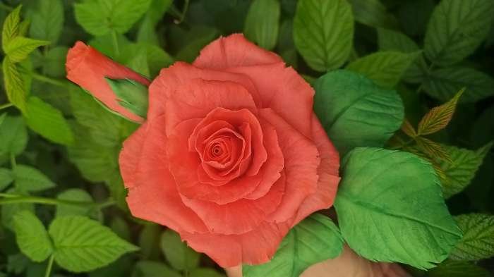 Фотография покупателя товара Молд Доляна «Лепесток розы», силикон, 2 предмета, 6,7×6,2 см, цвет розовый - Фото 4