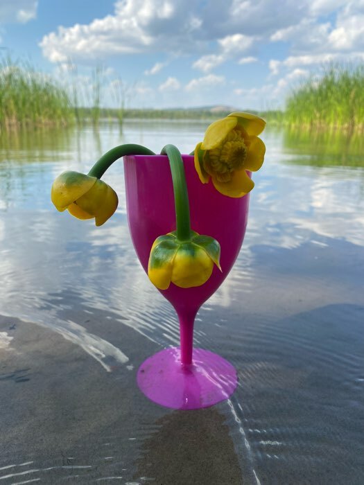 Фотография покупателя товара Бокал для вина «Салют», 400 мл, пластик, цвет МИКС - Фото 9