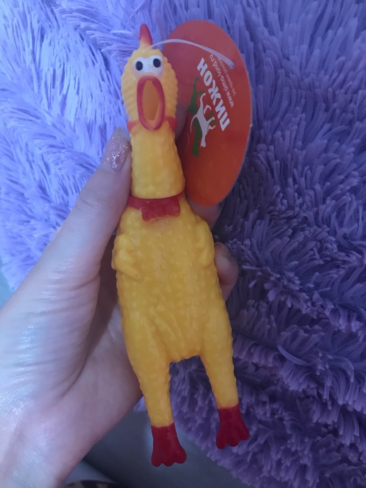 Фотография покупателя товара Игрушка пищащая "Задумчивая курица" малая, 16,5 см, жёлтая - Фото 17