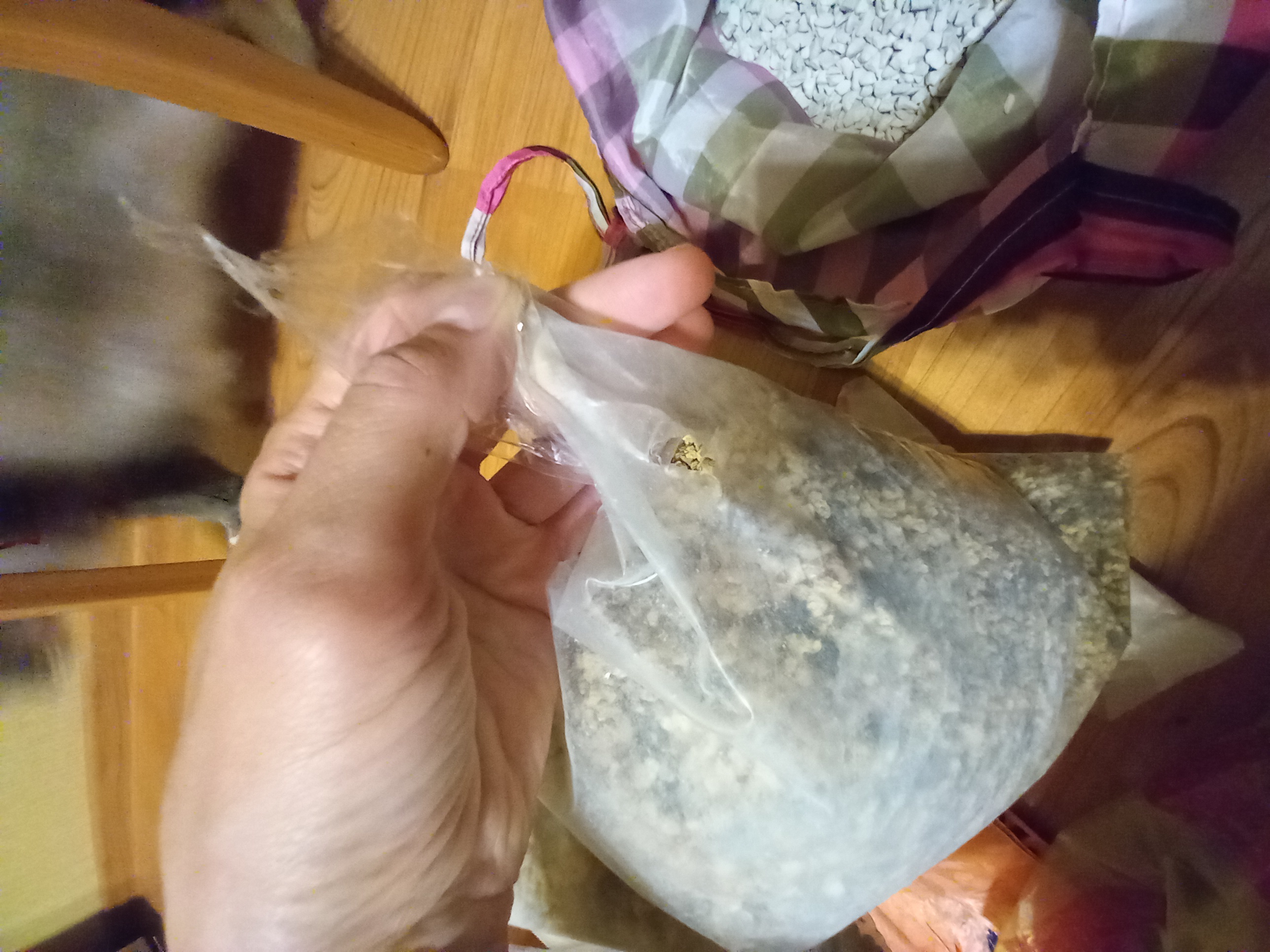Фотография покупателя товара Речной песок "Рецепты дедушки Никиты", сухой, фр 2,5-5,0, гранулы, 2 кг - Фото 11