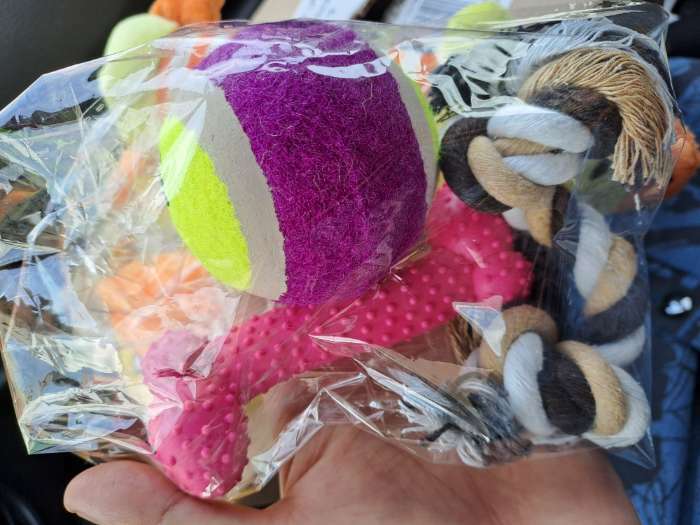 Фотография покупателя товара Набор игрушек для собак, 3 шт, микс цветов - Фото 1