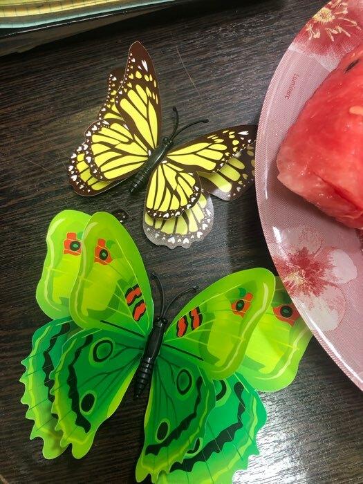 Фотография покупателя товара Набор для украшения «Бабочки», 12 шт, цвет зелёный - Фото 10